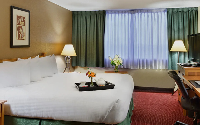 Standard Accessible room