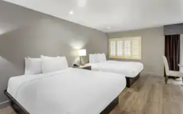 1 room Patio Twin Suite