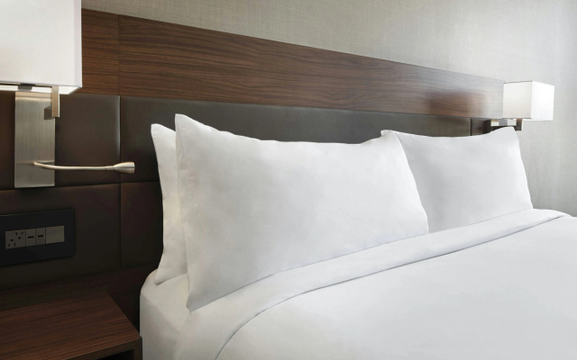 photo 3 of AC Hotel Charlotte Ballantyne