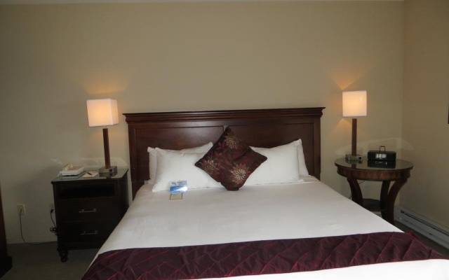 photo 3 of Adobe Inn