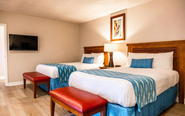 photo 5 of Alamo Inn & Suites