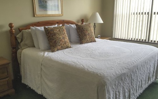 photo 3 of Alpine Village Resort, Burnsville, USA