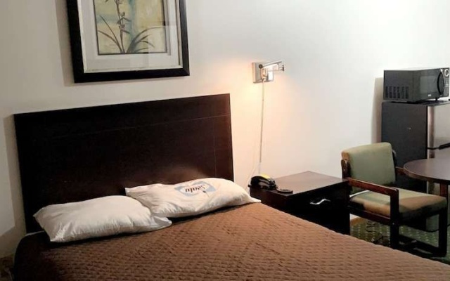 photo 2 of American Motel