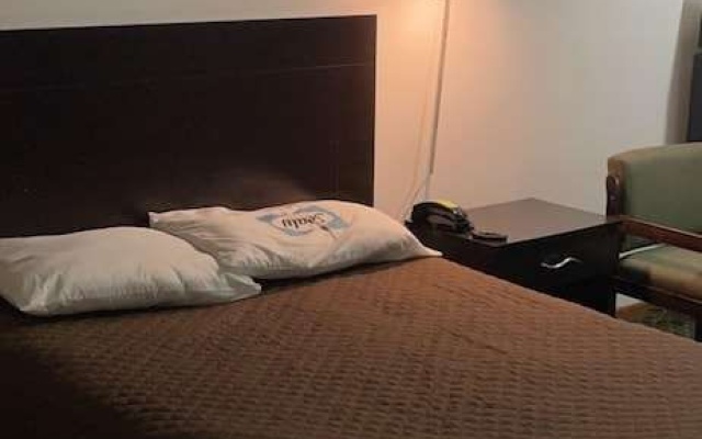 photo 4 of American Motel