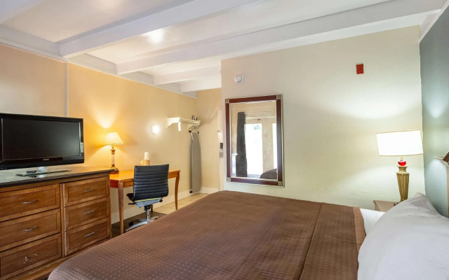 photo 3 of Clearwater Hotel