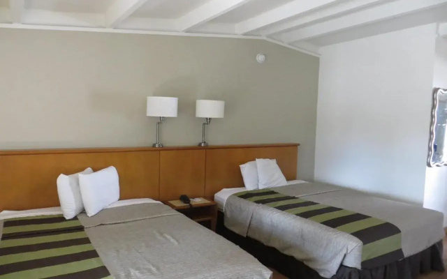 photo 5 of Clearwater Hotel