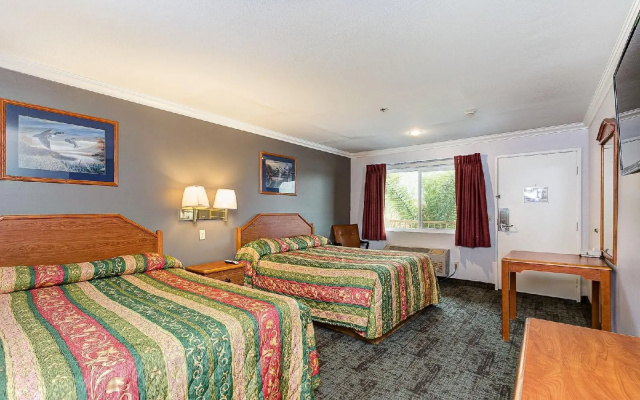photo 5 of Buena Vista Inn