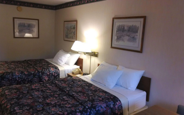 photo 2 of Americas Best Value Inn Marion, NC