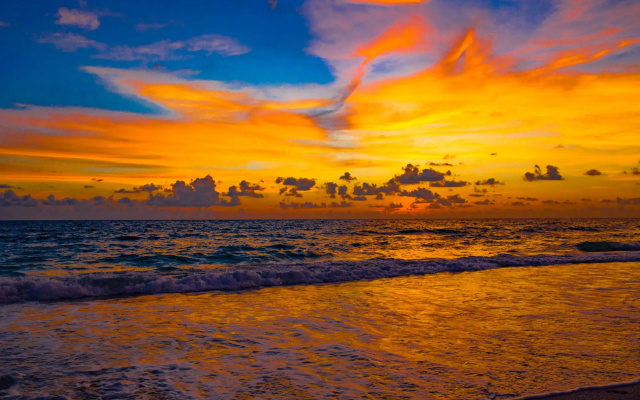 photo 5 of Anna Maria Island Beach Palms 7A