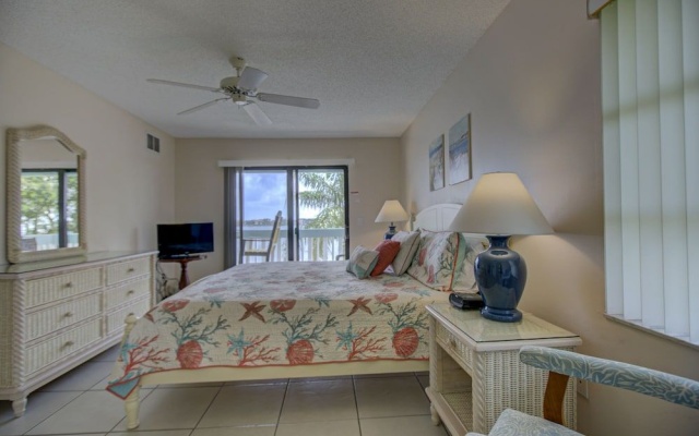 photo 3 of Anna Maria Island Beach Palms