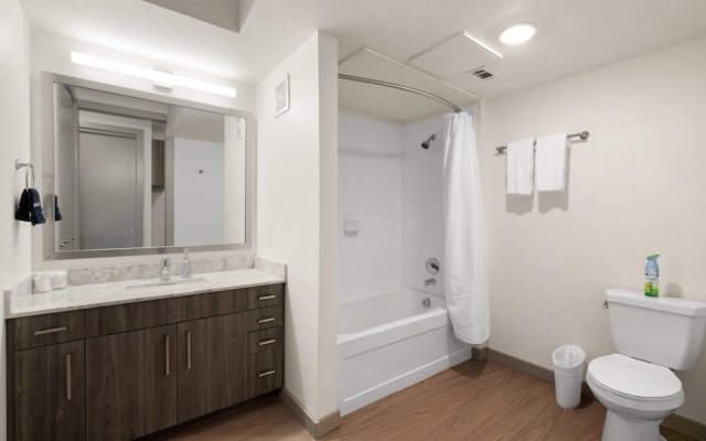 photo 4 of Arlington Sophisticated Studio Apartment