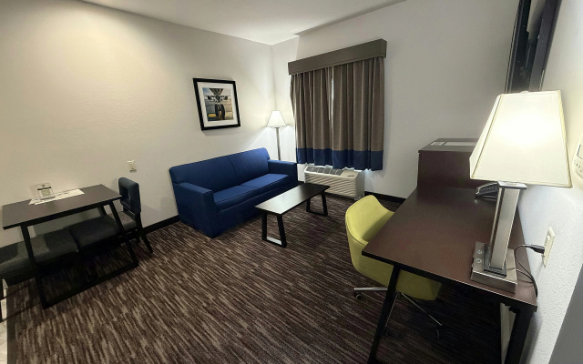 photo 3 of Atrium Hotel and Suites DFW Airport South