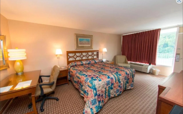 photo 2 of Audubon Inn