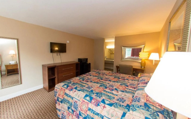 photo 5 of Audubon Inn