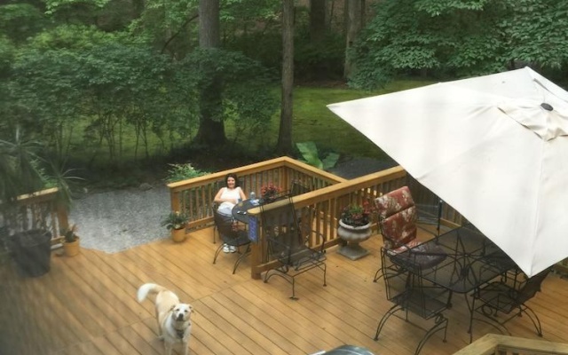 photo 3 of Azalea Private Wellness Retreat BnB
