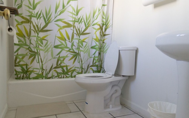 photo 5 of Bamboo House