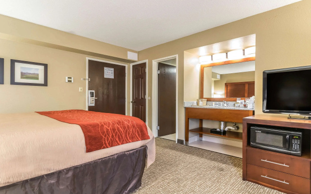 photo 5 of Comfort Inn & Suites Lexington - Hamburg I-75
