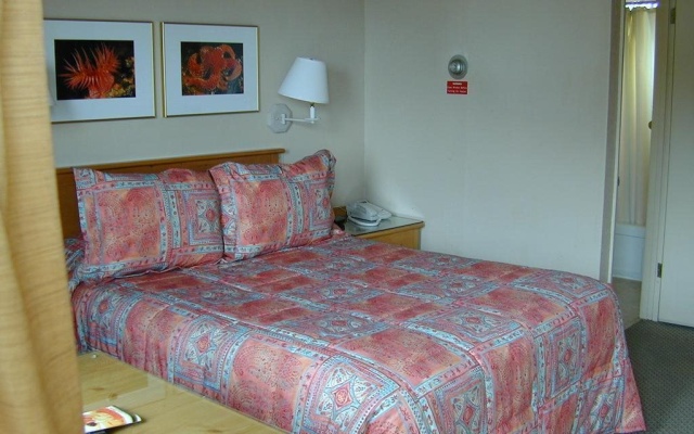 photo 2 of Beachcomber Inn