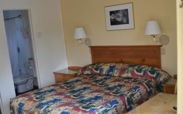 photo 4 of Beachcomber Inn