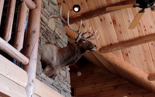 photo 5 of Bear Foot Lodge 4 Bedrooms 4.5 Bathrooms Cabin