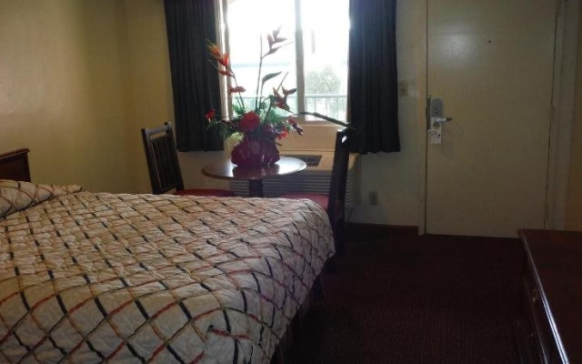photo 3 of Paradise Inn