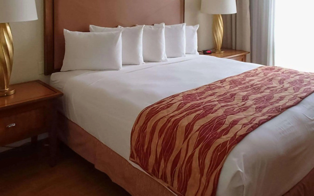 photo 3 of Rodeway Inn South Miami Coral Gables