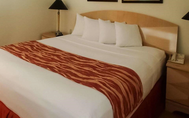 photo 5 of Rodeway Inn South Miami Coral Gables