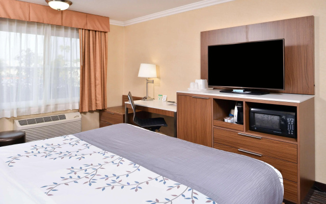 photo 5 of Best Western Airpark Hotel - LAX Airport LA  Stadium
