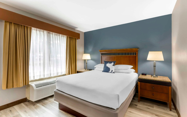 photo 5 of Best Western Denver Southwest