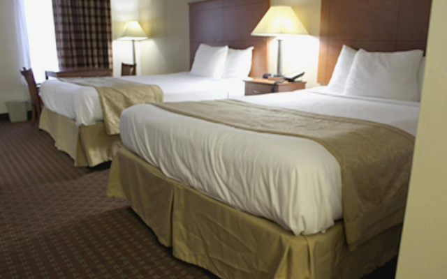 photo 5 of Baymont by Wyndham Franklin