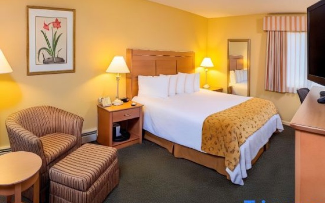 photo 3 of Best Western Inn and Suites