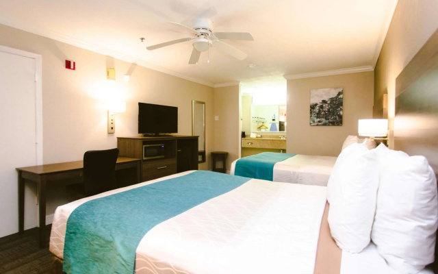 photo 5 of Best Western Pearland Inn