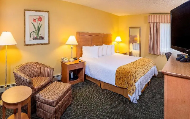 photo 5 of Best Western Plus Inn & Suites