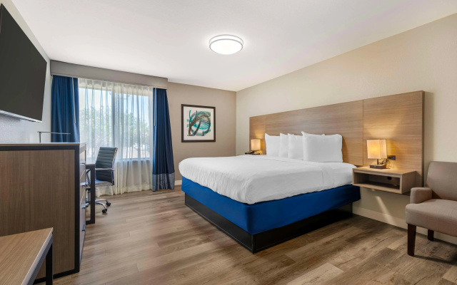 photo 4 of Best Western Plus Lewisville Flower Mound