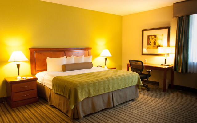 photo 4 of Best Western Plus Miami-Doral/Dolphin Mall