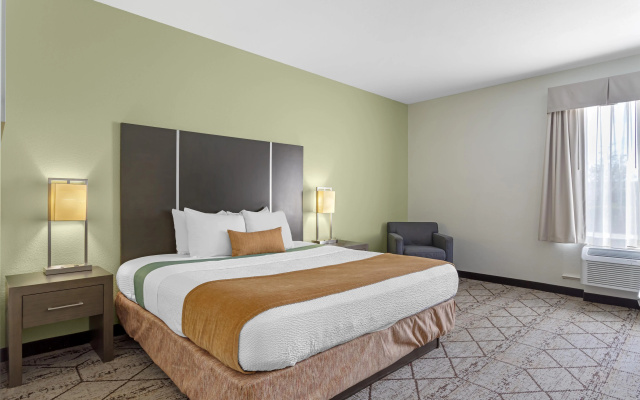 photo 5 of Best Western Plus North Houston Inn & Suites
