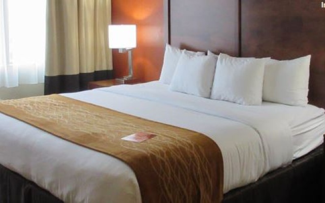 photo 3 of Best Western Starlite Village