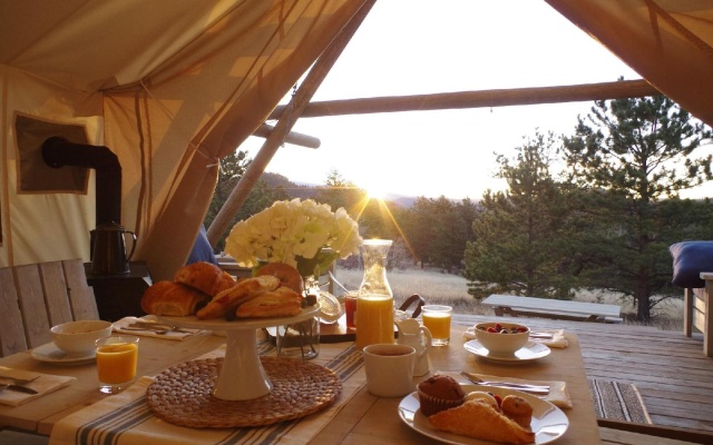 photo 4 of Black Tree Resort
