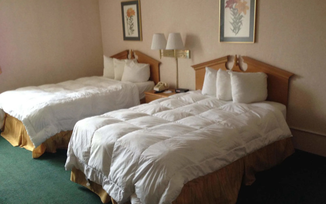 photo 3 of Blueway Inn & Suites Roseville
