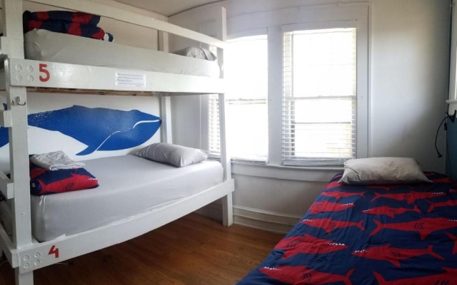 photo 3 of Bon Paul & Sharky'S Hostel