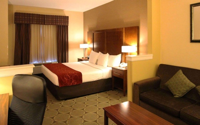 photo 3 of Comfort Suites Near University