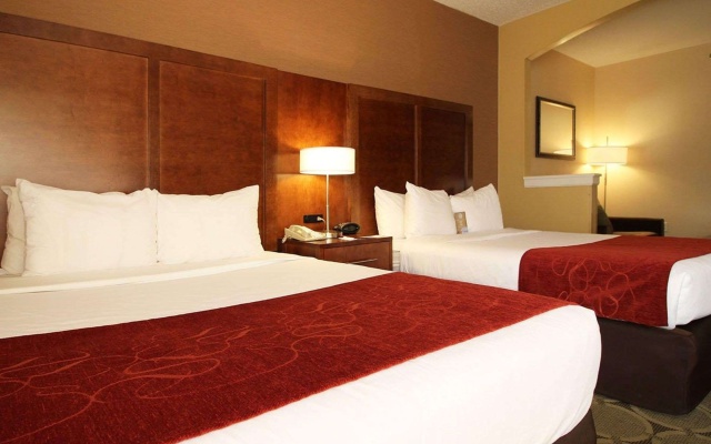 photo 4 of Comfort Suites Near University