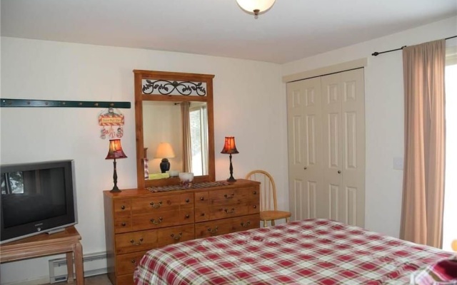 photo 4 of Bunker Hill Lode #1 (Condo)