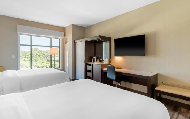 photo 3 of Cambria Hotel College Park