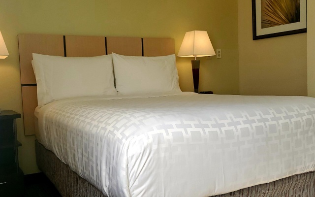 photo 3 of Candlewood Suites Houston Medical Center by IHG