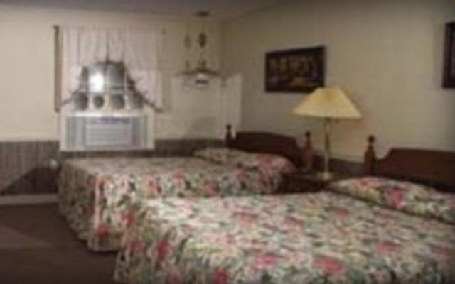 photo 3 of Cannon Mountain View Motel