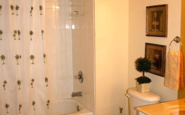 photo 3 of Celeste Dr 302 Condo