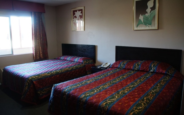 photo 5 of City Center Motel