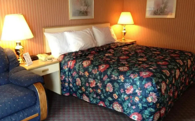 photo 3 of City Lodge