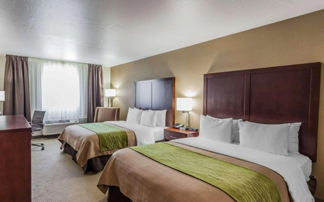 photo 4 of Comfort Inn Kent - Seattle